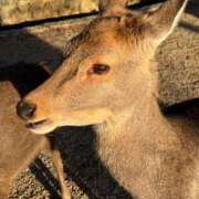 ヒメ日記 2025/07/30 16:57 投稿 サヤカ AMOUR（アムール）