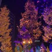 ヒメ日記 2025/08/12 13:00 投稿 サヤカ AMOUR（アムール）