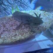 ヒメ日記 2026/02/25 21:20 投稿 サヤカ AMOUR（アムール）