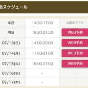 ヒメ日記 2025/07/11 20:33 投稿 みつ 東京人妻セレブリティ（ユメオト）