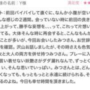 ヒメ日記 2025/08/21 11:45 投稿 みつ 東京人妻セレブリティ（ユメオト）
