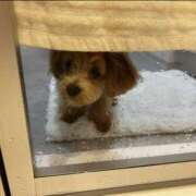 ヒメ日記 2025/09/09 10:47 投稿 みつ 東京人妻セレブリティ（ユメオト）