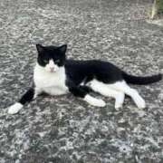 みつ 🌸人生初の🌸 東京人妻セレブリティ（ユメオト）