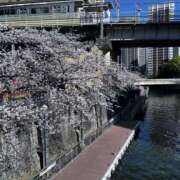 ヒメ日記 2026/04/16 14:05 投稿 みつ 東京人妻セレブリティ（ユメオト）