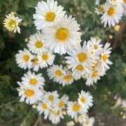 ヒメ日記 2026/01/16 20:34 投稿 山本ゆり しこたま奥様　熊本店