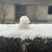 ヒメ日記 2026/02/08 15:24 投稿 山本ゆり しこたま奥様　熊本店