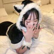 ヒメ日記 2025/08/06 14:00 投稿 らな 新小岩デリヘル ラブセレクション