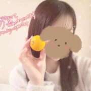 ヒメ日記 2026/01/01 00:20 投稿 永遠(とわ) 京都出張メンズエステChou Chou（シュシュ)