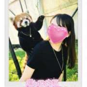 ヒメ日記 2025/11/04 10:10 投稿 みゆう 逢って30秒で即尺