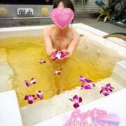 みゆう ?昨日13:20〜のお兄様? 逢って30秒で即尺