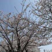 ヒメ日記 2026/03/29 16:41 投稿 みゆう 逢って30秒で即尺