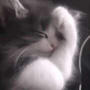 ヒメ日記 2025/08/10 16:00 投稿 つな 美少女制服学園CLASSMATE　五反田校