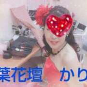 ヒメ日記 2026/02/09 12:18 投稿 かりあ 千葉人妻花壇