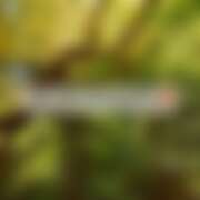 ヒメ日記 2025/07/24 19:20 投稿 るな コレクション