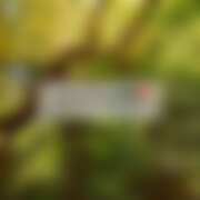 ヒメ日記 2025/07/24 19:25 投稿 るな コレクション