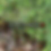 ヒメ日記 2025/08/01 20:25 投稿 るな コレクション