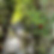 ヒメ日記 2025/08/20 21:20 投稿 るな コレクション