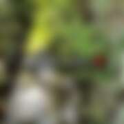 ヒメ日記 2025/08/20 21:25 投稿 るな コレクション