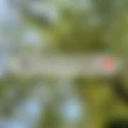 ヒメ日記 2025/08/30 18:25 投稿 るな コレクション