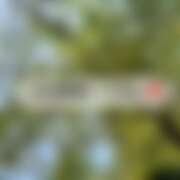 ヒメ日記 2025/08/30 18:30 投稿 るな コレクション