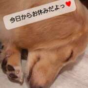 ヒメ日記 2025/09/01 12:39 投稿 るな コレクション