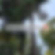 ヒメ日記 2025/09/11 18:20 投稿 るな コレクション