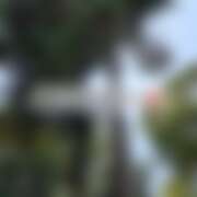 ヒメ日記 2025/09/11 18:25 投稿 るな コレクション