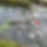 ヒメ日記 2025/09/15 20:20 投稿 るな コレクション