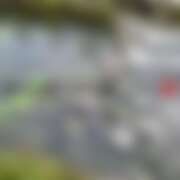 ヒメ日記 2025/09/15 20:25 投稿 るな コレクション