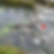 ヒメ日記 2025/09/15 20:30 投稿 るな コレクション