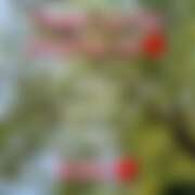 ヒメ日記 2025/11/03 22:15 投稿 るな コレクション