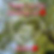 ヒメ日記 2025/11/21 23:15 投稿 るな コレクション