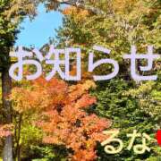 ヒメ日記 2025/11/21 23:55 投稿 るな コレクション