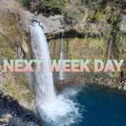 るな ★NEXT WEEK DAY★ コレクション