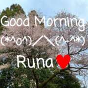 ヒメ日記 2026/04/01 09:55 投稿 るな コレクション