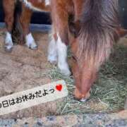 ヒメ日記 2025/09/01 12:11 投稿 るな ストロベリーハウス