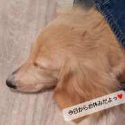 ヒメ日記 2025/09/01 12:27 投稿 るな ストロベリーハウス