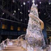 ヒメ日記 2026/01/18 14:22 投稿 まこ クンニ専門店 おクンニ学園 池袋校