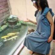 ヒメ日記 2025/08/18 14:15 投稿 京香（きょうか） 東金人妻花壇