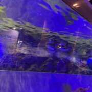 ヒメ日記 2025/07/18 21:50 投稿 ゆうき わちゃわちゃ密着リアルフルーちゅ西船橋