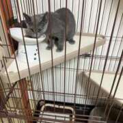 ヒメ日記 2025/12/28 17:16 投稿 もゆの ハピネス＆ドリーム 松山道後温泉