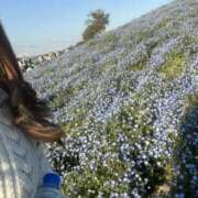 ヒメ日記 2025/09/19 13:36 投稿 みさき 仮面舞踏会