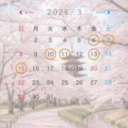 ヒメ日記 2026/02/25 08:30 投稿 北川　ゆり 川崎南町人妻高級ソープ エル・カーヒル(ELCURHIL)秘密の刻