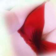 みなみ 出勤〜☆ 大塚デリヘル倶楽部