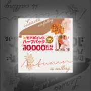 ヒメ日記 2025/10/15 10:09 投稿 もえ モアグループ神栖人妻花壇