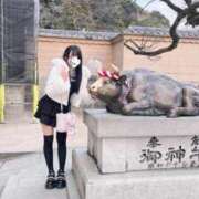 ヒメ日記 2025/12/16 03:29 投稿 てぴ ラズベリードール