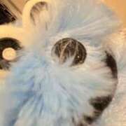 ヒメ日記 2025/12/30 03:29 投稿 てぴ ラズベリードール