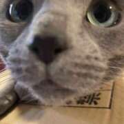 ヒメ日記 2026/02/28 07:28 投稿 てぴ ラズベリードール