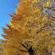 ヒメ日記 2025/12/04 08:52 投稿 かな 出会い系人妻ネットワーク さいたま～大宮編