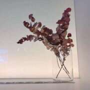 ヒメ日記 2025/08/29 22:34 投稿 かな 出会い系人妻ネットワーク 春日部〜岩槻編